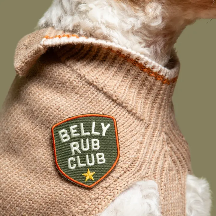 Scout's Honour Iron-on Patches for Dogs - Image 19