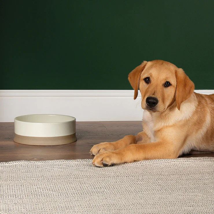 Scruffs Scandi Non Tip Pet Food & Water Bowl - Image 4