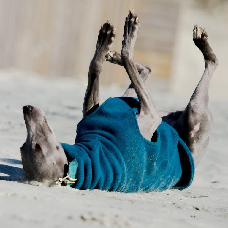 Whippet Fleece Jumper - Image 8